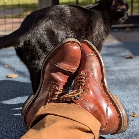 Parkhurst The Richmond in Maryam Bruciato TPR Horsebutt