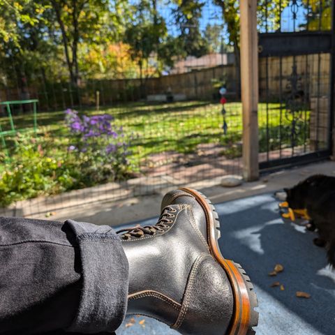 Truman Cap Toe Boot in Horween Black Waxed Flesh