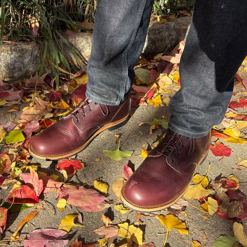 Red Wing Beckman in S.B. Foot Black Cherry Excalibur