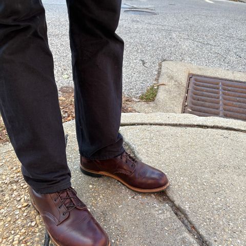 Red Wing Beckman in S.B. Foot Black Cherry Excalibur