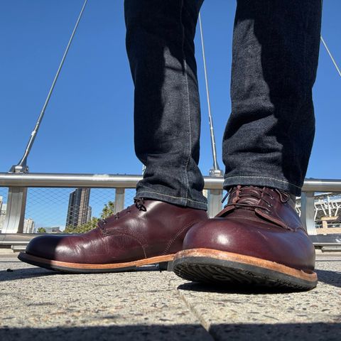 Red Wing Beckman in S.B. Foot Black Cherry Excalibur