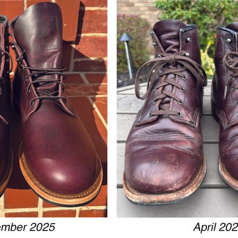 Red Wing Beckman in S.B. Foot Black Cherry Excalibur