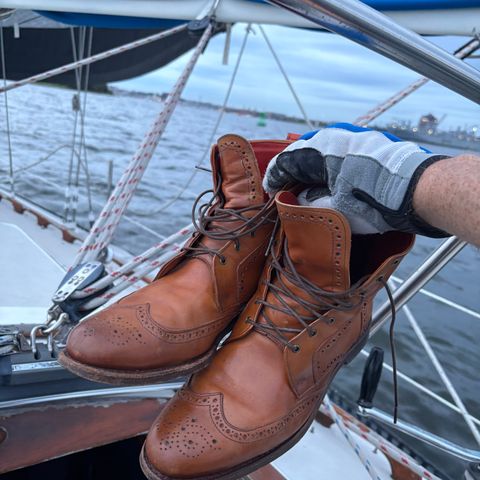 Allen Edmonds Dalton Wingtip Dress Boot in Walnut Calfskin