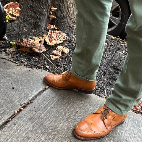 Allen Edmonds Dalton Wingtip Dress Boot in Walnut Calfskin