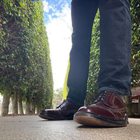 Florsheim Imperial Kenmoor 93605 in Horween Color 4 Shell Cordovan