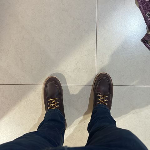 Red Wing 6-Inch Classic Moc in S.B. Foot Briar Oil Slick