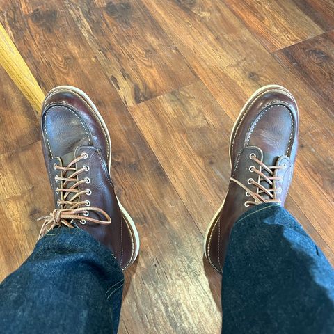 Red Wing 6-Inch Classic Moc in S.B. Foot Briar Oil Slick