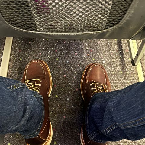 Red Wing 6-Inch Classic Moc in S.B. Foot Briar Oil Slick