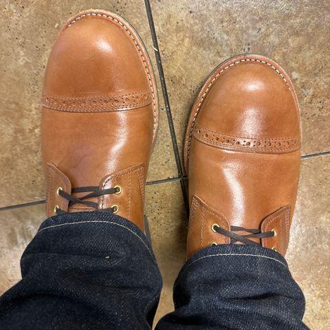Oak Street Bootmakers Field Boot in Maryam Toscanello Horsebutt