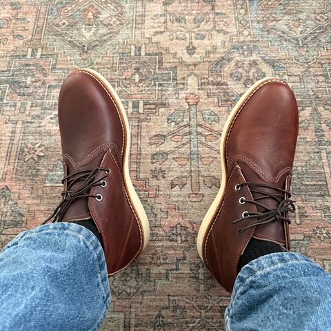 Red Wing Work Chukka in S.B. Foot Briar Oil Slick