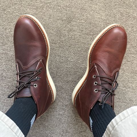 Red Wing Work Chukka in S.B. Foot Briar Oil Slick