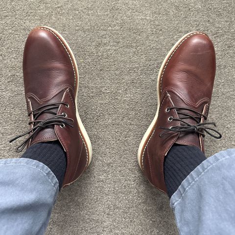 Red Wing Work Chukka in S.B. Foot Briar Oil Slick