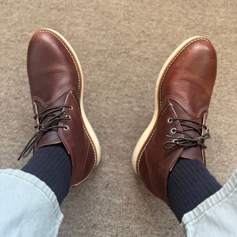 Red Wing Work Chukka in S.B. Foot Briar Oil Slick