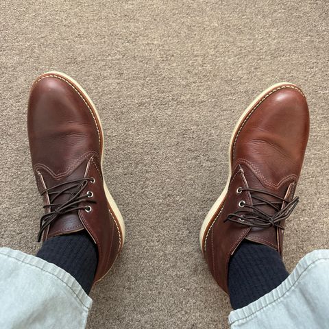 Red Wing Work Chukka in S.B. Foot Briar Oil Slick