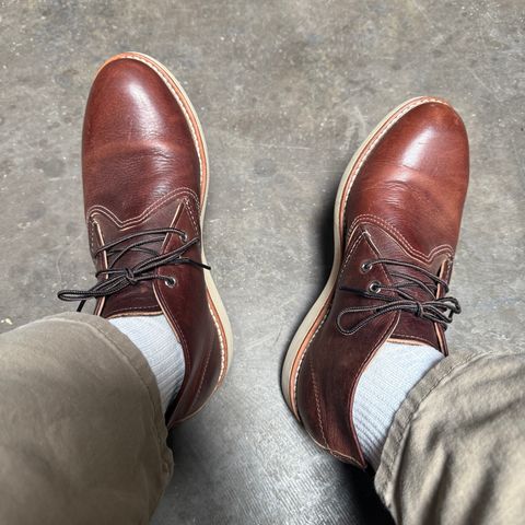 Red Wing Work Chukka in S.B. Foot Briar Oil Slick
