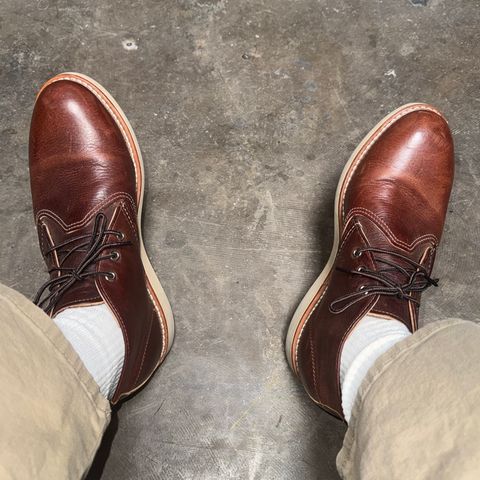 Red Wing Work Chukka in S.B. Foot Briar Oil Slick