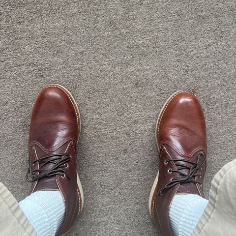Red Wing Work Chukka in S.B. Foot Briar Oil Slick
