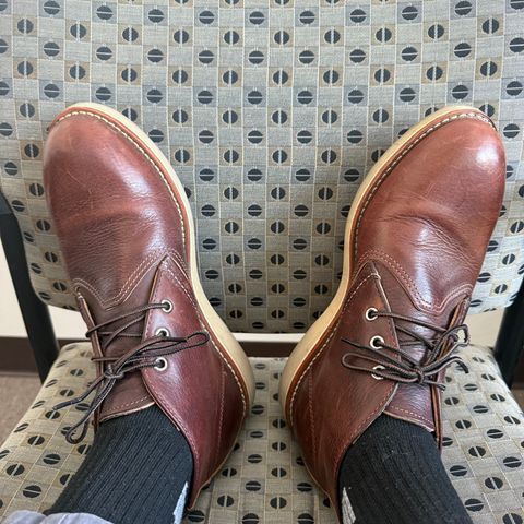 Red Wing Work Chukka in S.B. Foot Briar Oil Slick