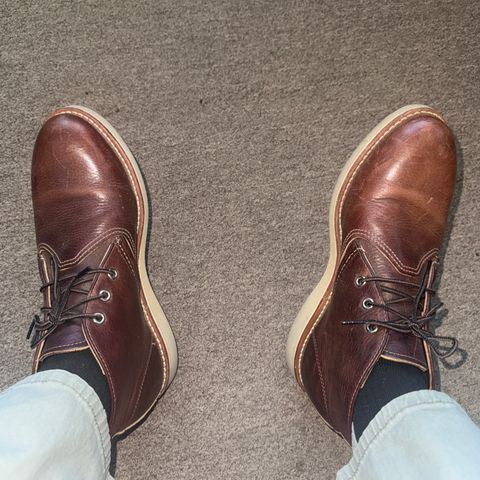 Red Wing Work Chukka in S.B. Foot Briar Oil Slick