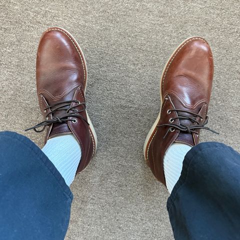 Red Wing Work Chukka in S.B. Foot Briar Oil Slick