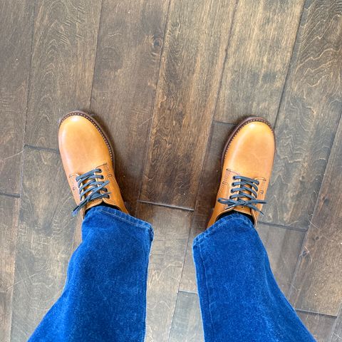 Red Wing Beckman Oxford in S.B. Foot Chestnut Featherstone