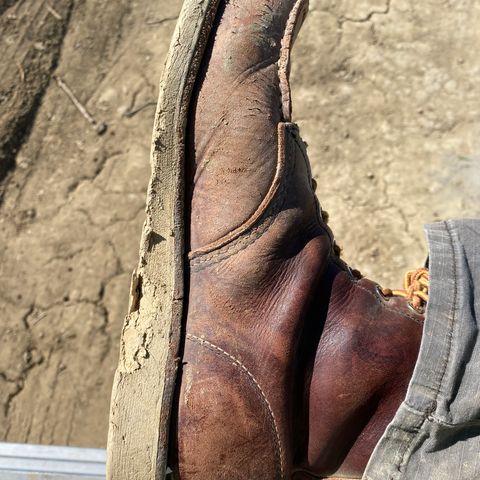 Red Wing 6-Inch Classic Moc in S.B. Foot Briar Oil Slick