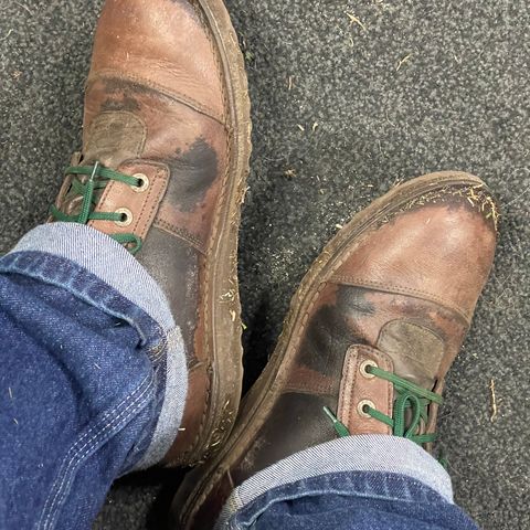 View photo of Jim Green African Ranger in African Buffalo Skin