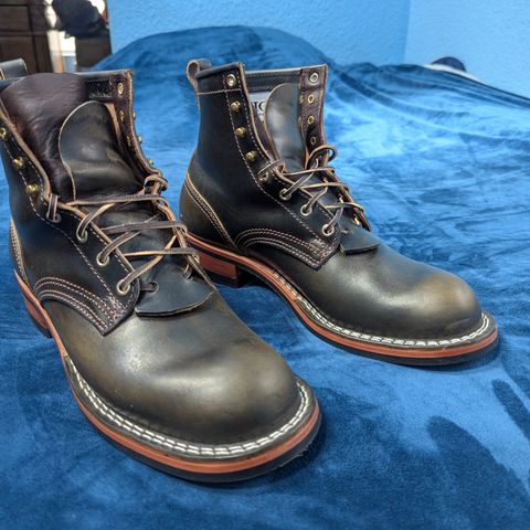 Nicks Falcon in Wickett & Craig Double Stuffed Olive