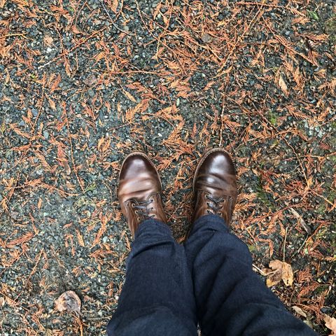 Wolverine 1000 Mile Evans Boot in Horween Stone Chromexcel