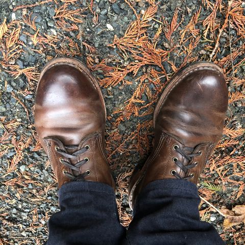 Wolverine 1000 Mile Evans Boot in Horween Stone Chromexcel