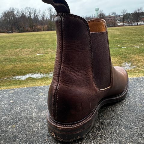 Viberg Chelsea in Horween Rowdy Dachshund