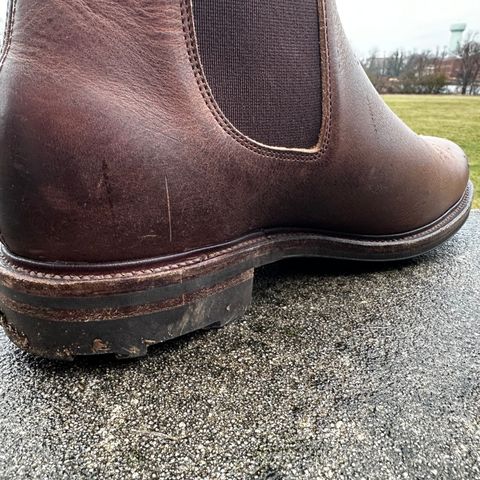 Viberg Chelsea in Horween Rowdy Dachshund