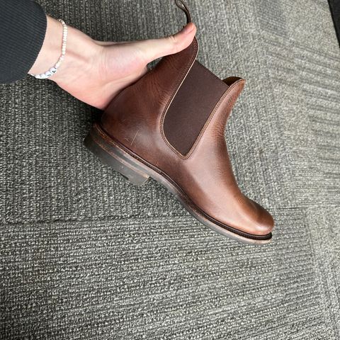Viberg Chelsea in Horween Rowdy Dachshund