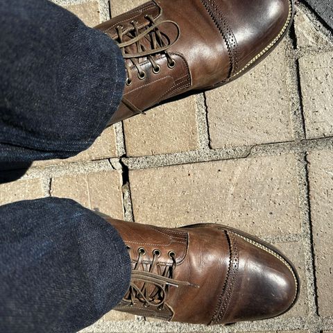Viberg Service Boot PCT in Maryam Port 1071 Vitello Calf Nubuck