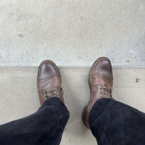 Viberg Service Boot PCT in Maryam Port 1071 Vitello Calf Nubuck