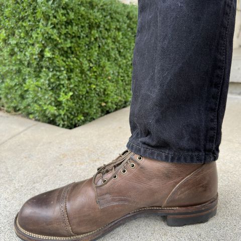 Viberg Service Boot PCT in Maryam Port 1071 Vitello Calf Nubuck