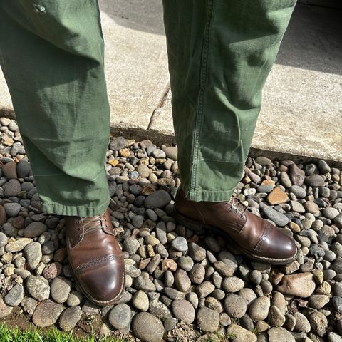Viberg Service Boot PCT in Maryam Port 1071 Vitello Calf Nubuck
