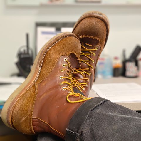 Frank's Rainier in Seidel Chocolate Oil Tan & Seidel Chocolate Oil Tan Roughout