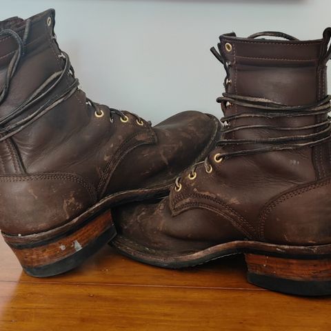 Frank's Front Range in Seidel Walnut Oil Tan