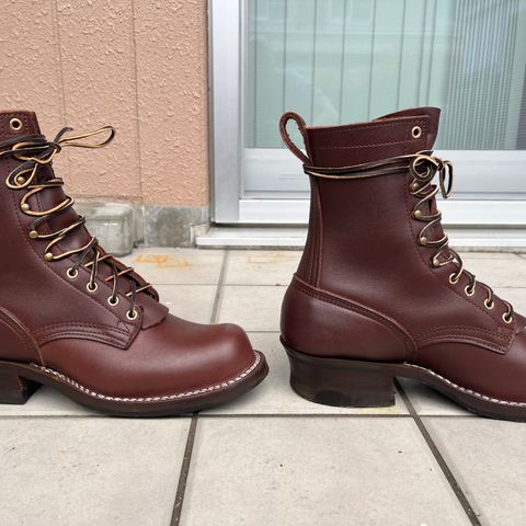 Nicks Ranger in Seidel MaxSupport Chocolate