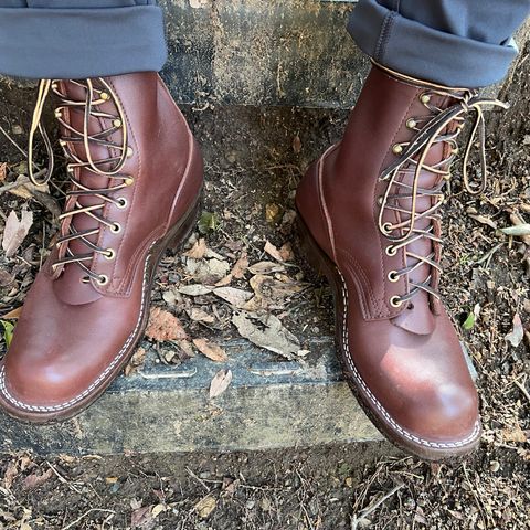 Nicks Ranger in Seidel MaxSupport Chocolate