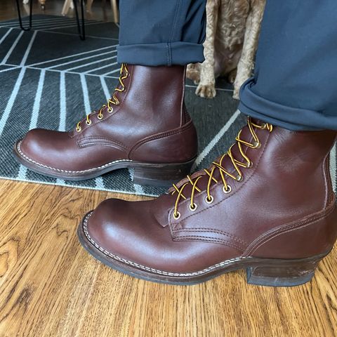 Nicks Ranger in Seidel MaxSupport Chocolate