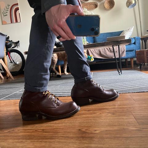 Nicks Ranger in Seidel MaxSupport Chocolate