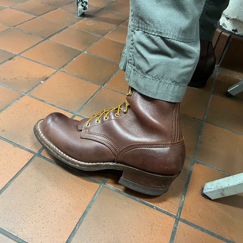 Nicks Ranger in Seidel MaxSupport Chocolate
