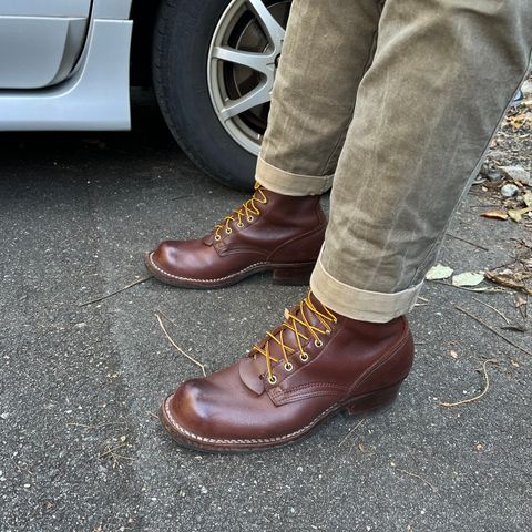 Nicks Ranger in Seidel MaxSupport Chocolate