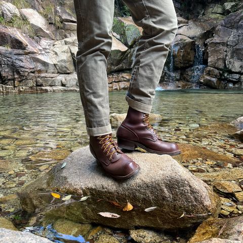 Nicks Ranger in Seidel MaxSupport Chocolate