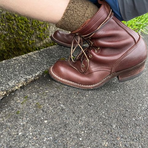 Nicks Ranger in Seidel MaxSupport Chocolate