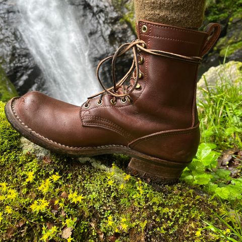 Nicks Ranger in Seidel MaxSupport Chocolate
