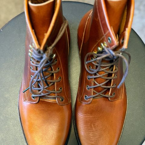 Imperium Mighty in Maryam Bruciato TPR Horsebutt