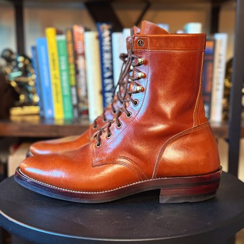 Imperium Mighty in Maryam Bruciato TPR Horsebutt